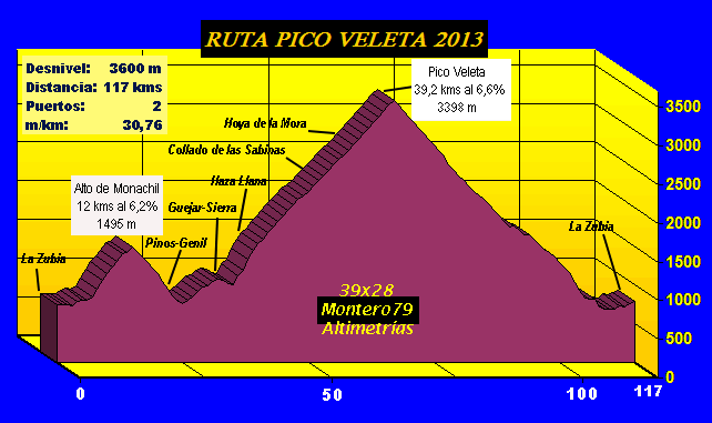 Veleta lo supremo 39X28 ALTIMETR AS